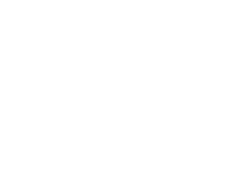 LexaMax Logo